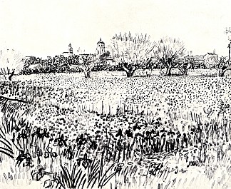 花田 Field with Flowers (1888; Arles,Bouches-du-Rhône,France                     )，文森特·梵高