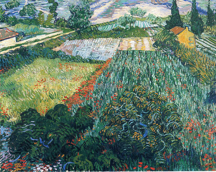 有罂粟花的田野 Field with Poppies (1889; France  )，文森特·梵高