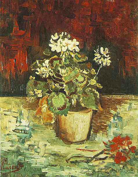 花盆中的天竺葵 Geranium in a Flowerpot (1886; Paris,France  )，文森特·梵高