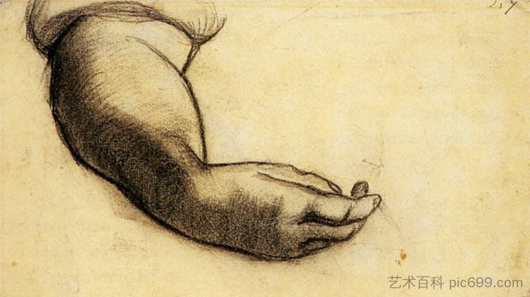 手 Hand (1885; Nunen / Nuenen,Netherlands  )，文森特·梵高