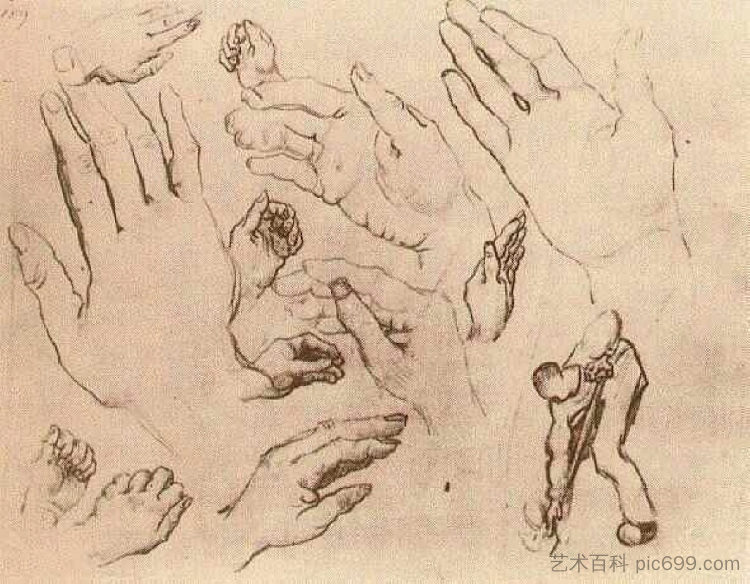 手 Hands (1885; Nunen / Nuenen,Netherlands  )，文森特·梵高