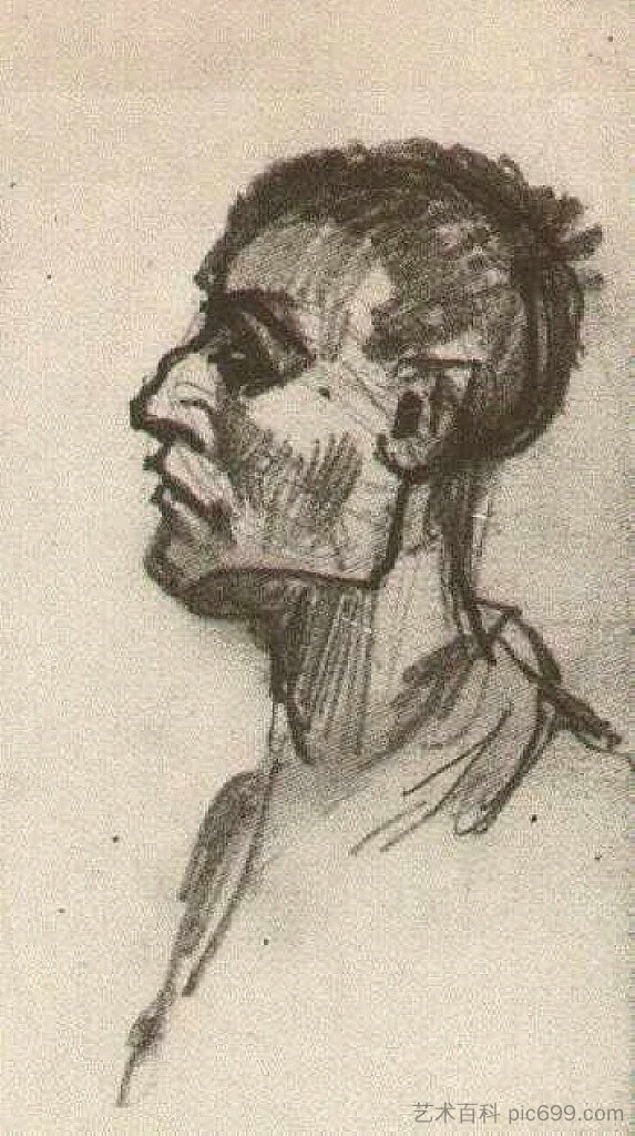 一个人的头，光着头 Head of a Man, Bareheaded (1885; Nunen / Nuenen,Netherlands  )，文森特·梵高