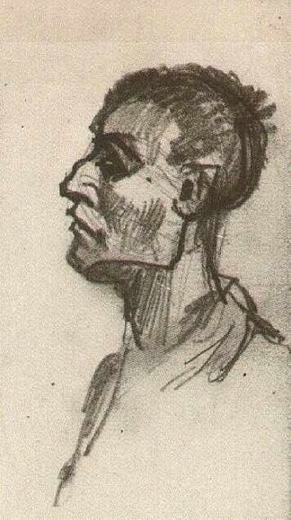 一个人的头，光着头 Head of a Man, Bareheaded (1885; Nunen / Nuenen,Netherlands                     )，文森特·梵高