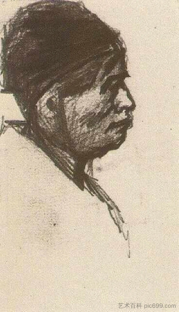 戴着帽子的人的头 Head of a Man with Cap (1885; Nunen / Nuenen,Netherlands  )，文森特·梵高