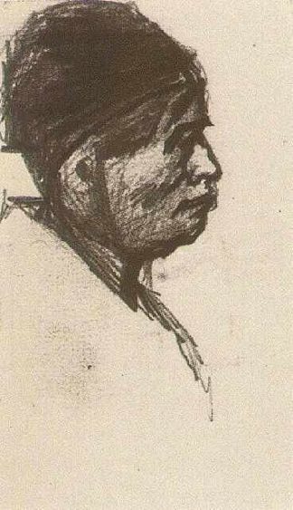 戴着帽子的人的头 Head of a Man with Cap (1885; Nunen / Nuenen,Netherlands                     )，文森特·梵高