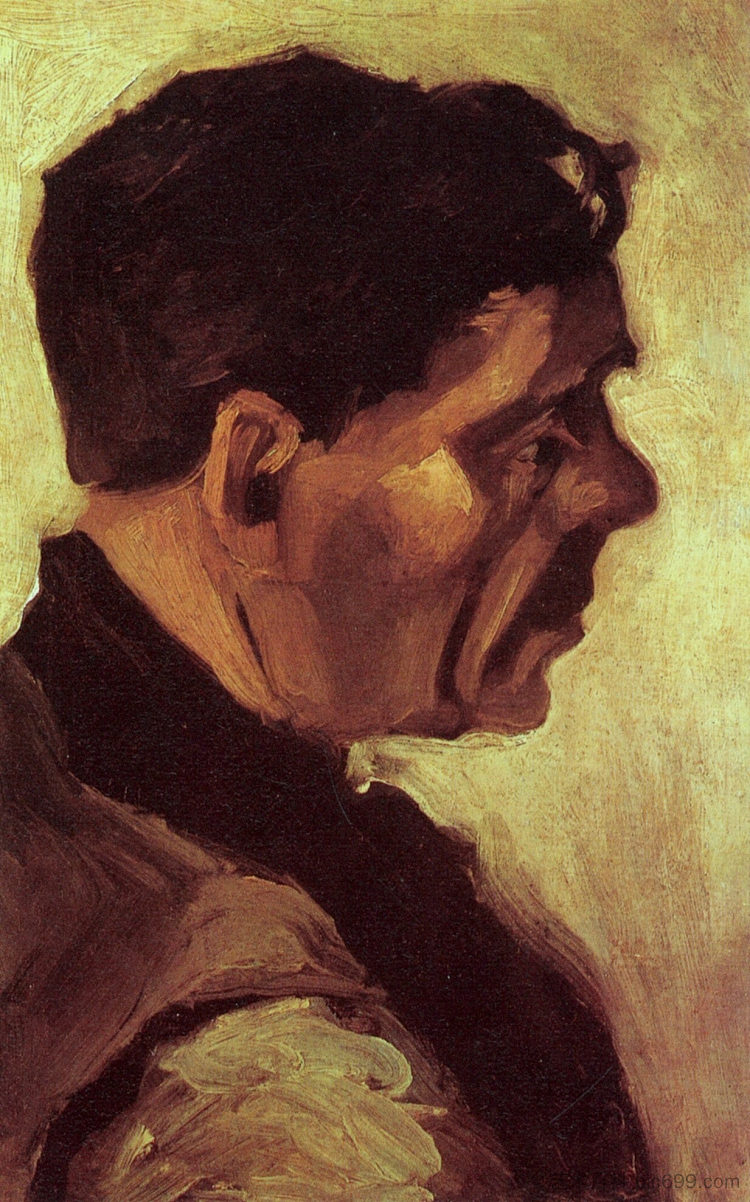 农民的首领 Head of a Peasant (1885; Nunen / Nuenen,Netherlands  )，文森特·梵高