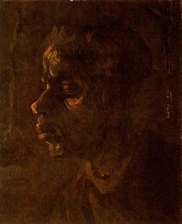 农妇的头 Head of a Peasant Woman (1885)，文森特·梵高