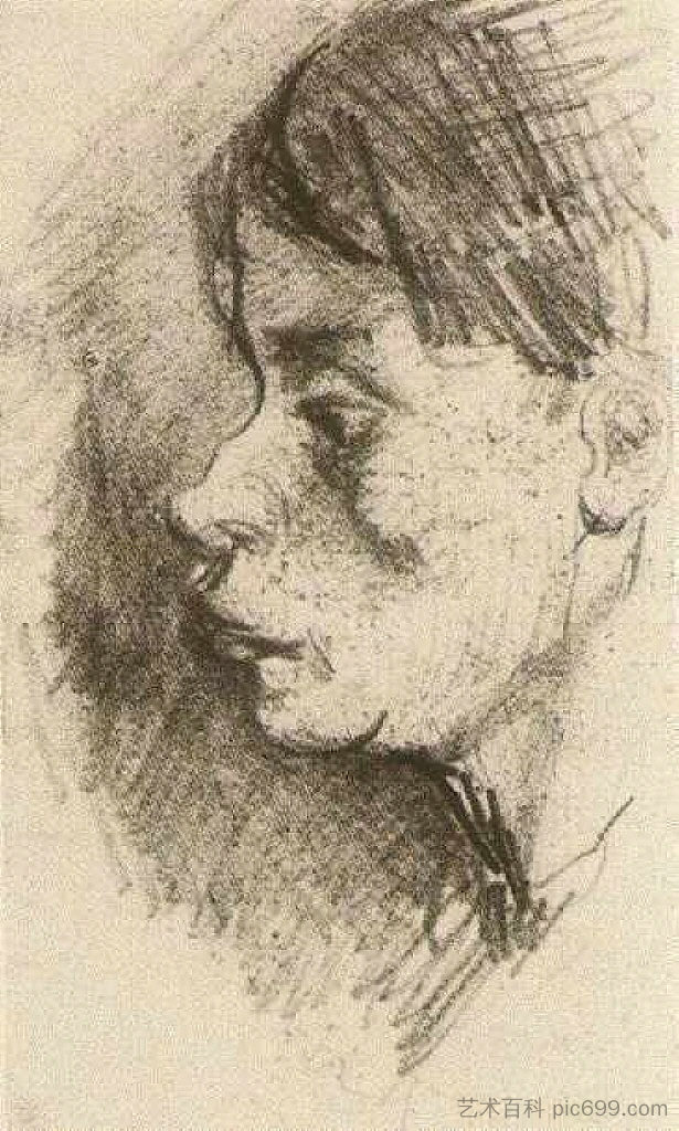 农妇的头，光着头 Head of a Peasant Woman, Bareheaded (1884 - 1885)，文森特·梵高