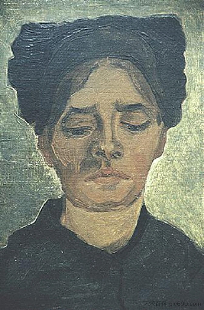 戴着黑帽子的农妇头像 Head of a Peasant Woman with Dark Cap (1885; Nunen / Nuenen,Netherlands  )，文森特·梵高