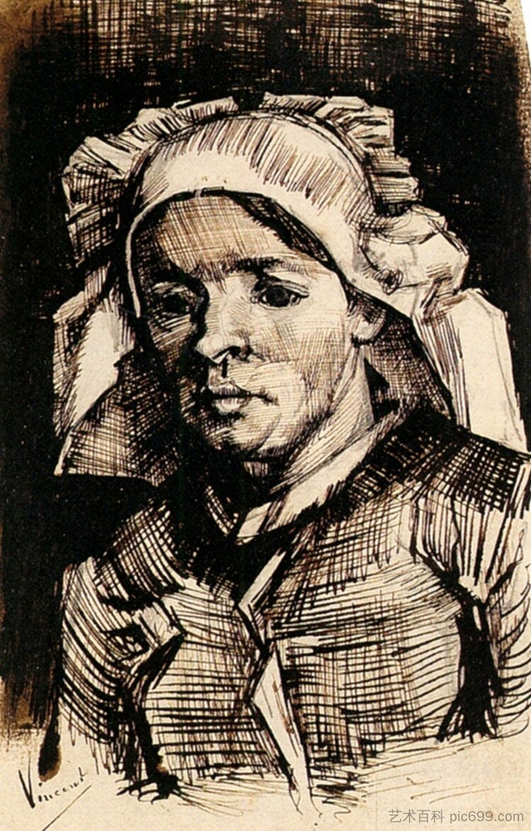 Head of a Woman Head of a Woman (c.1885; Nunen / Nuenen,Netherlands  )，文森特·梵高