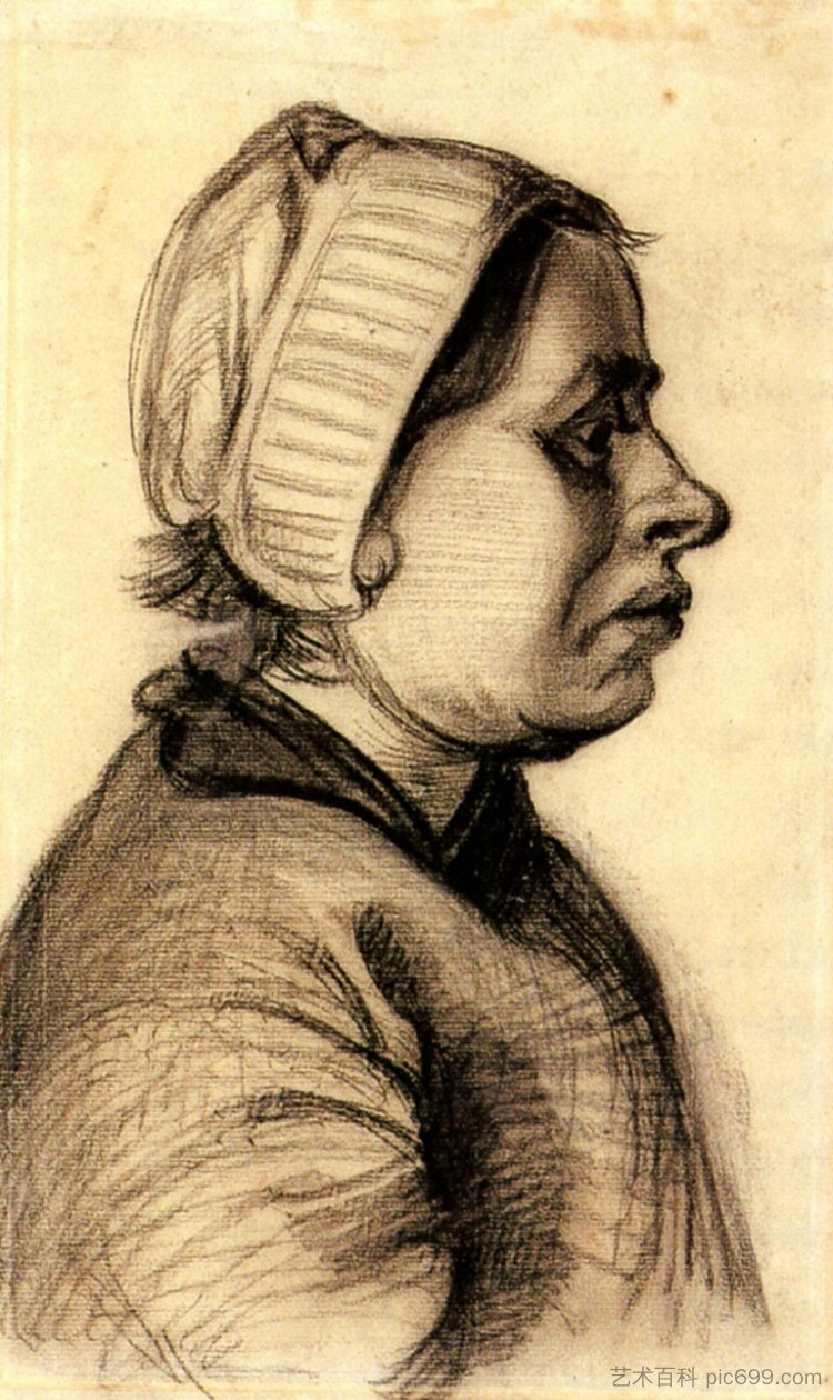 女人的头 Head of a Woman (1884; Nunen / Nuenen,Netherlands  )，文森特·梵高