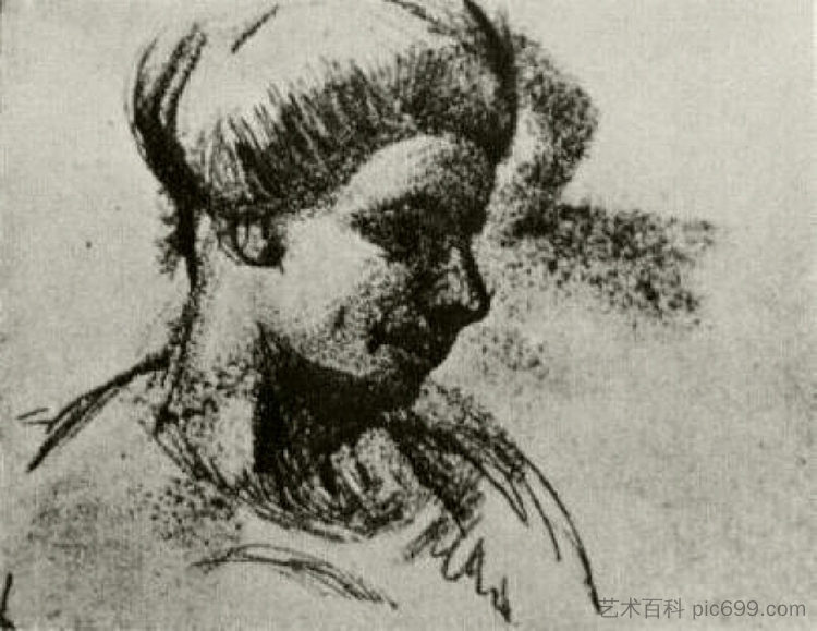 一个女人的头 Head of a Woman (1886; Antwerp,Belgium  )，文森特·梵高