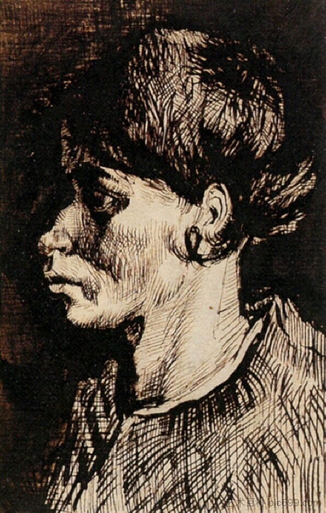 女人的头 Head of a Woman (c.1885; Nunen / Nuenen,Netherlands  )，文森特·梵高