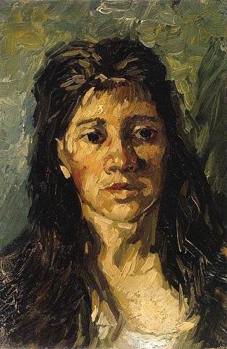 一个披头散发的女人的头 Head of a Woman with her Hair Loose (1885; Antwerp,Belgium                     )，文森特·梵高