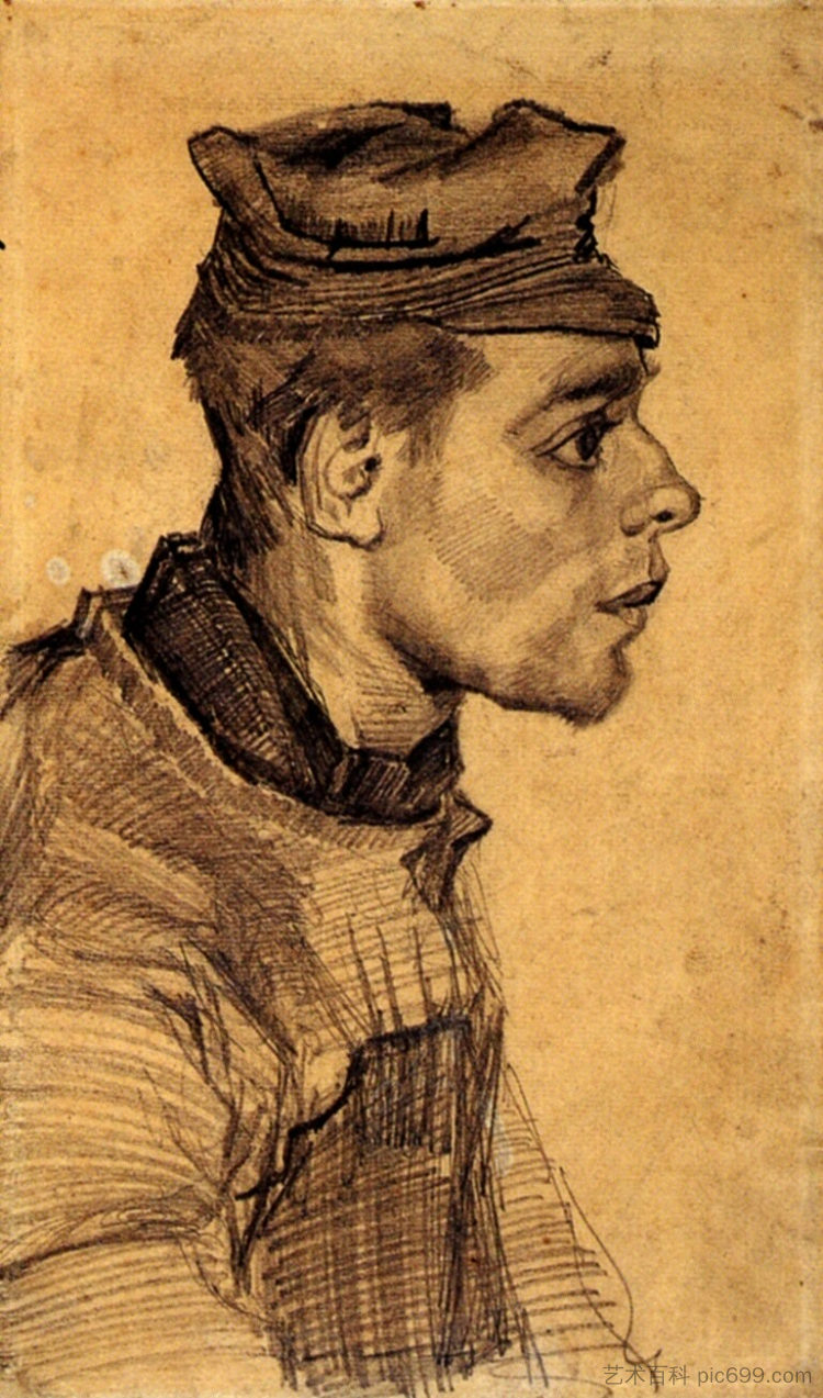 Head of a Young Man Head of a Young Man (c.1885; Nunen / Nuenen,Netherlands  )，文森特·梵高