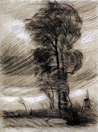 暴风雨天气下的景观 Landscape in Stormy Weather (1885; Nunen / Nuenen,Netherlands                     )，文森特·梵高