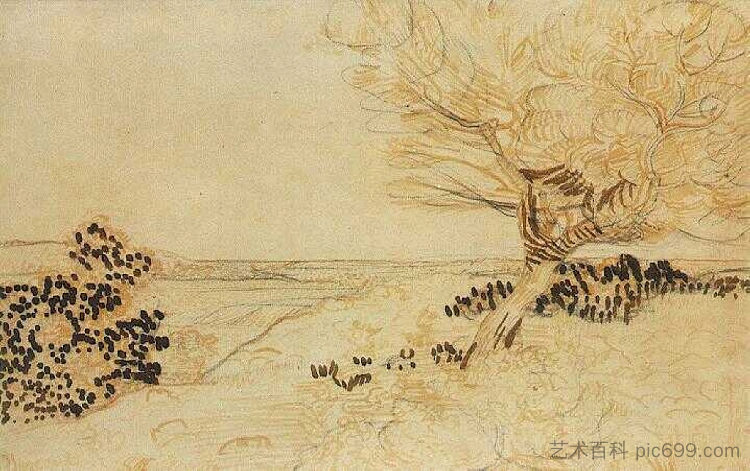 前景中有一棵树的景观 Landscape with a Tree in the Foreground (1888; Arles,Bouches-du-Rhône,France  )，文森特·梵高