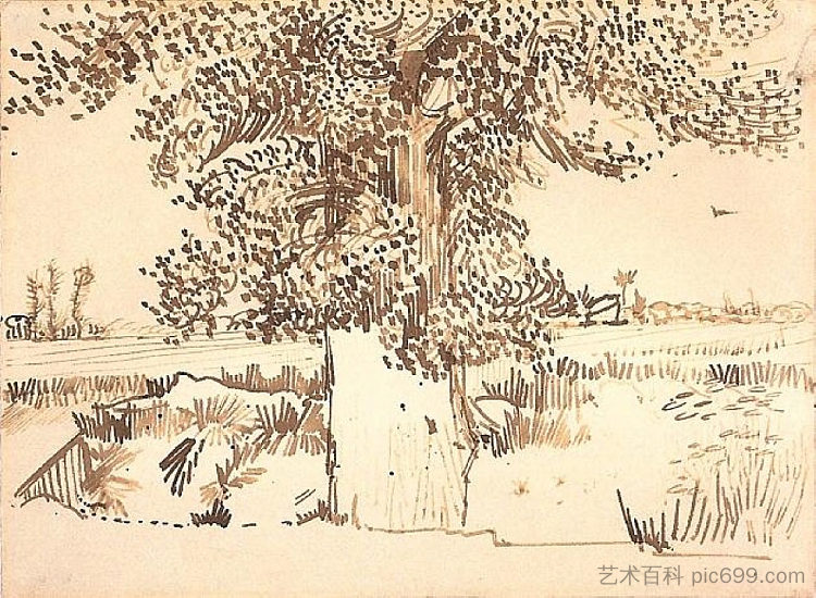 前景中有一棵树的景观 Landscape with a Tree in the Foreground (1888; Arles,Bouches-du-Rhône,France  )，文森特·梵高