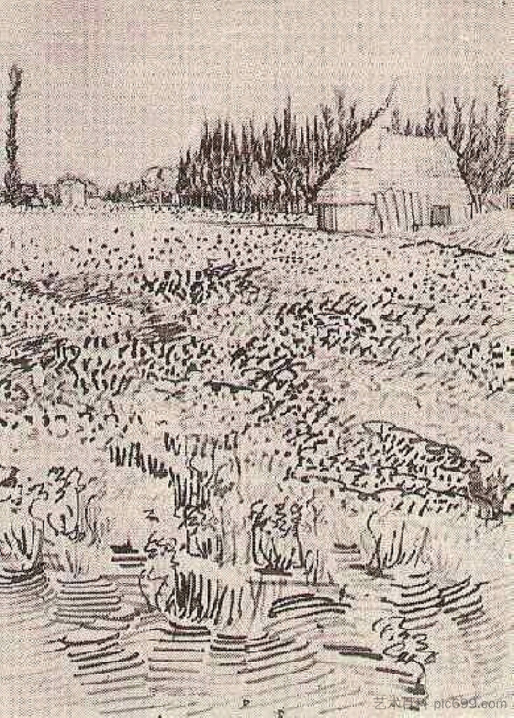 卡马格小屋的风景 Landscape with Hut in the Camargue (1888; Arles,Bouches-du-Rhône,France  )，文森特·梵高