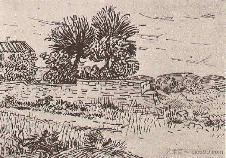 农场墙的风景 Landscape with the Wall of a Farm (1888; Arles,Bouches-du-Rhône,France  )，文森特·梵高