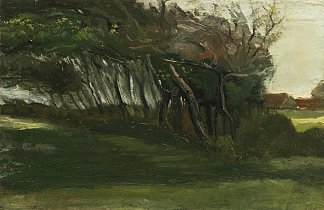 景观与风吹树木 Landscape with windswept trees (c.1883 – 1884)，文森特·梵高