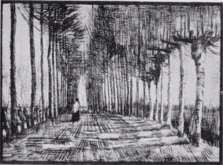 Lane with Trees and One Figure Lane with Trees and One Figure (1884; Nunen / Nuenen,Netherlands  )，文森特·梵高