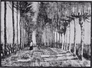 Lane with Trees and One Figure Lane with Trees and One Figure (1884; Nunen / Nuenen,Netherlands                     )，文森特·梵高