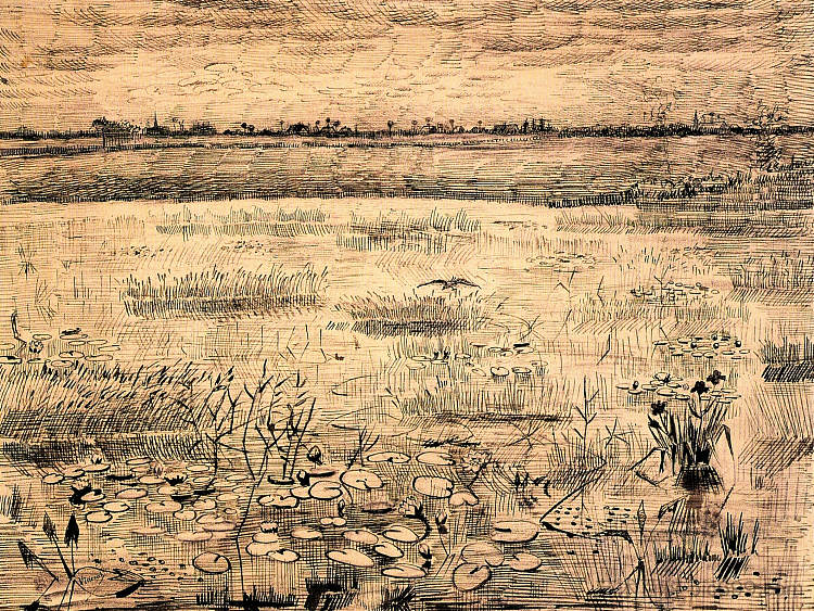 睡莲沼泽 Marsh with Water Lillies (1881; Netherlands  )，文森特·梵高