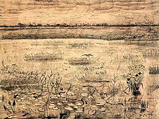睡莲沼泽 Marsh with Water Lillies (1881; Netherlands                     )，文森特·梵高