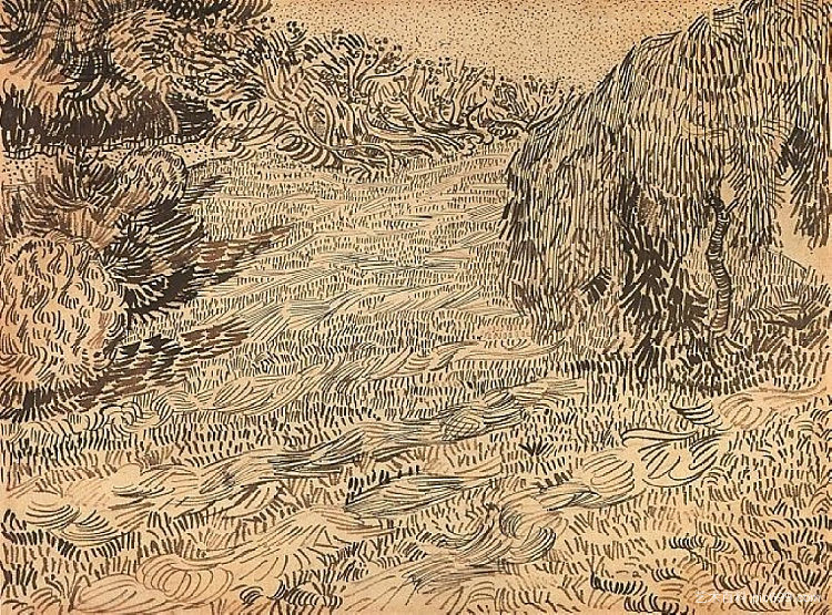 新修剪的草坪与垂枝树 Newly Mowed Lawn with Weeping Tree (1888; Arles,Bouches-du-Rhône,France  )，文森特·梵高