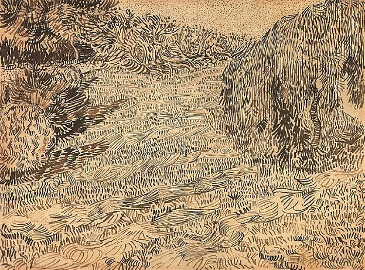 新修剪的草坪与垂枝树 Newly Mowed Lawn with Weeping Tree (1888; Arles,Bouches-du-Rhône,France  )，文森特·梵高