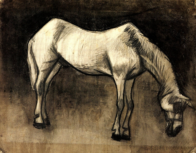 老纳格 Old Nag (1883; Haag / Den Haag / La Haye / The Hague,Netherlands ),文森特·梵高