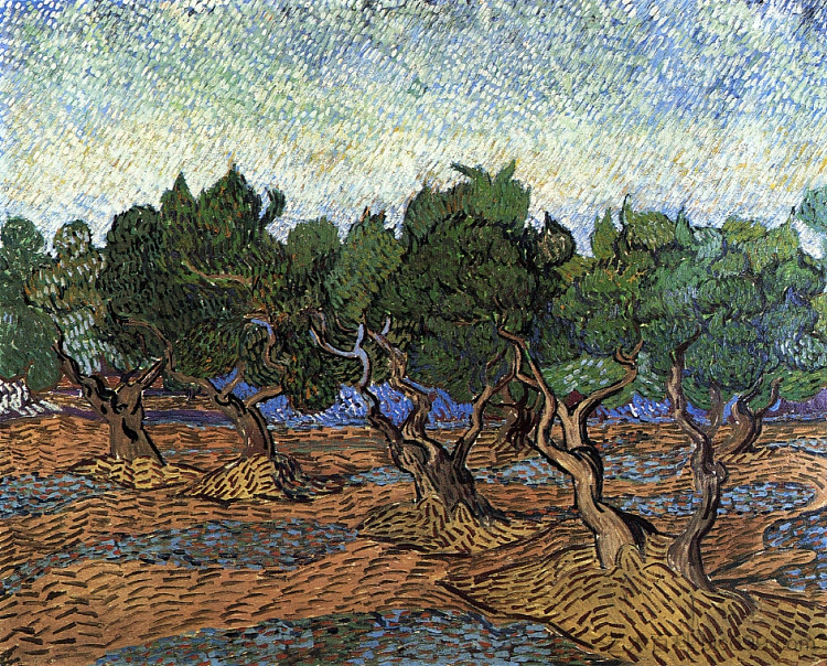 橄榄树林 Olive Grove (1889; Saint-rémy-de-provence,France  )，文森特·梵高