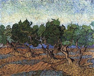 橄榄树林 Olive Grove (1889; Saint-rémy-de-provence,France                     )，文森特·梵高