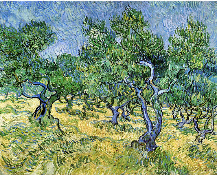 橄榄树林 Olive Grove (1889; Saint-rémy-de-provence,France  )，文森特·梵高