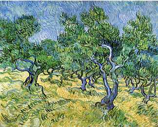 橄榄树林 Olive Grove (1889; Saint-rémy-de-provence,France                     )，文森特·梵高