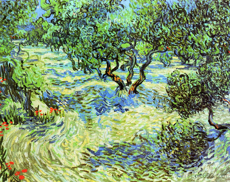 橄榄树林 - 明亮的蓝天 Olive Grove - Bright Blue Sky (1889; Saint-rémy-de-provence,France ),文森特·梵高