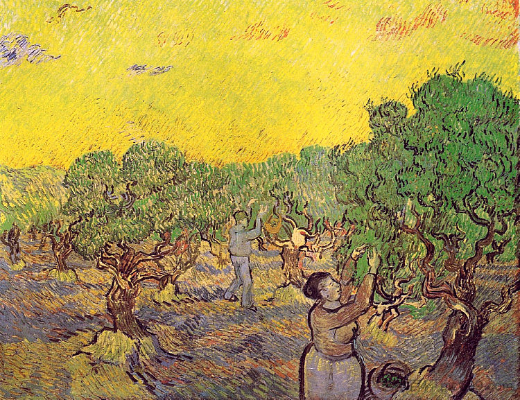 橄榄树林与采摘人物 Olive Grove with Picking Figures (1889; Saint-rémy-de-provence,France ),文森特·梵高