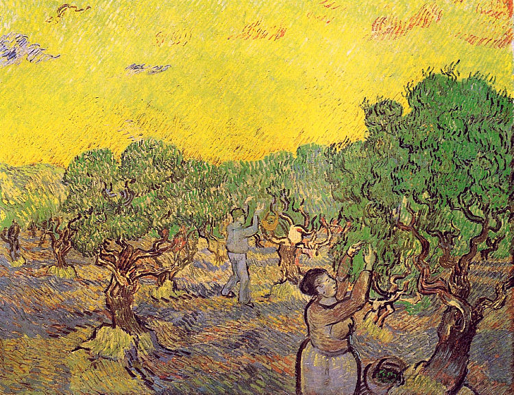 橄榄树林与采摘人物 Olive Grove with Picking Figures (1889; Saint-rémy-de-provence,France  )，文森特·梵高