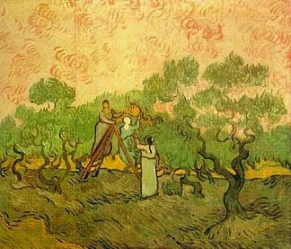 橄榄采摘 Olive Picking (1889; Saint-rémy-de-provence,France                     )，文森特·梵高