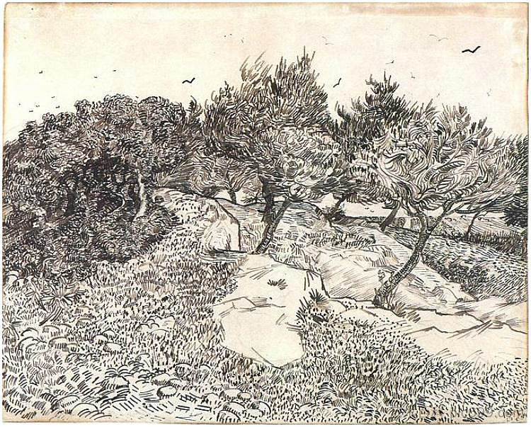 橄榄树 Olive Trees (1888; Arles,Bouches-du-Rhône,France  )，文森特·梵高