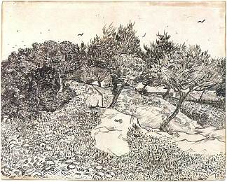 橄榄树 Olive Trees (1888; Arles,Bouches-du-Rhône,France                     )，文森特·梵高