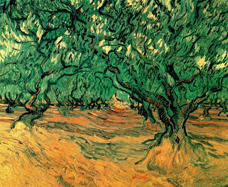 橄榄树 Olive Trees (1889; France  )，文森特·梵高