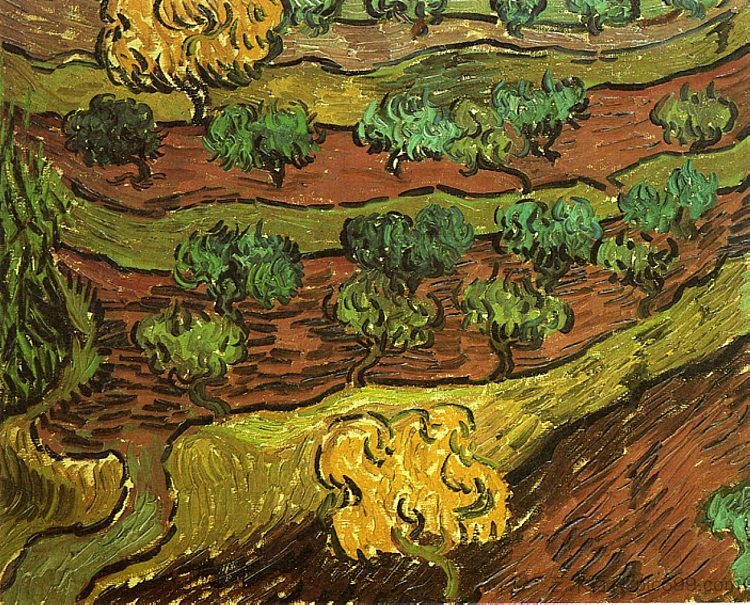 山坡上的橄榄树 Olive Trees against a Slope of a Hill (1889; Saint-rémy-de-provence,France ),文森特·梵高