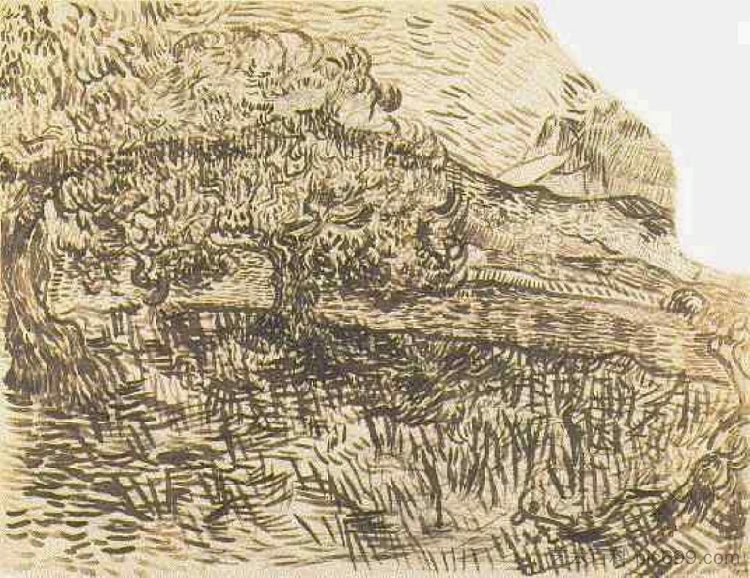山地景观中的橄榄树 Olive Trees in a Mountain Landscape (1889; Saint-rémy-de-provence,France ),文森特·梵高