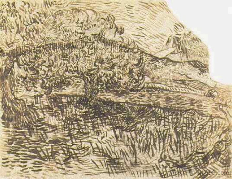 山地景观中的橄榄树 Olive Trees in a Mountain Landscape (1889; Saint-rémy-de-provence,France  )，文森特·梵高