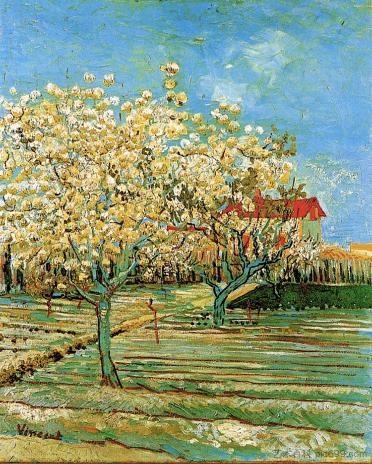 开花的果园 Orchard in Blossom (1888; Arles,Bouches-du-Rhône,France  )，文森特·梵高