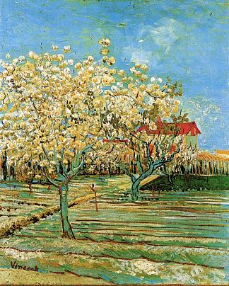 开花的果园 Orchard in Blossom (1888; Arles,Bouches-du-Rhône,France                     )，文森特·梵高