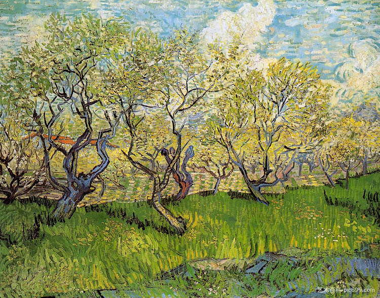 开花的果园 Orchard in Blossom (1888; Arles,Bouches-du-Rhône,France  )，文森特·梵高