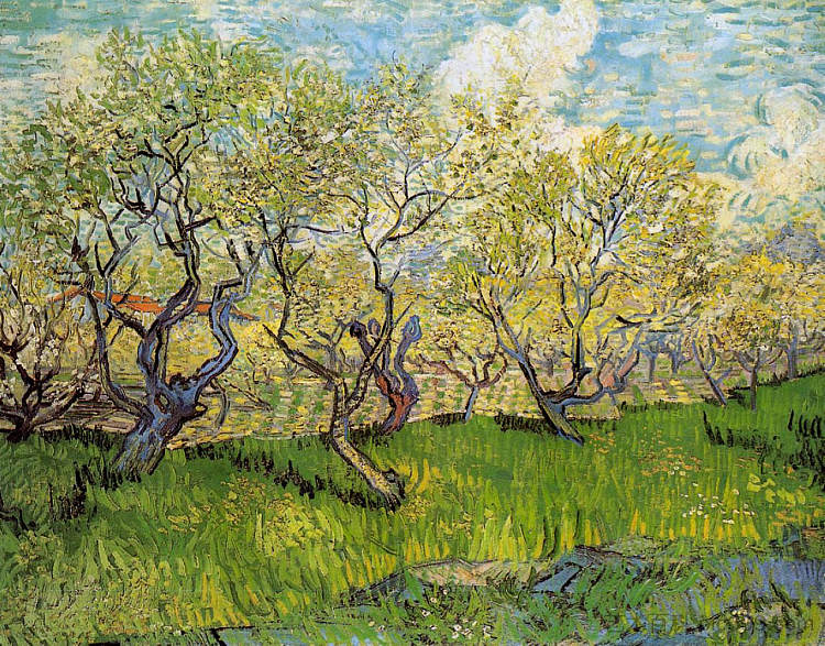 开花的果园 Orchard in Blossom (1888; Arles,Bouches-du-Rhône,France  )，文森特·梵高